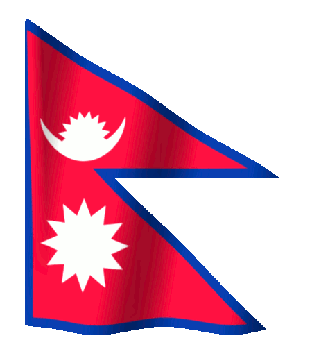 Local Government Logo